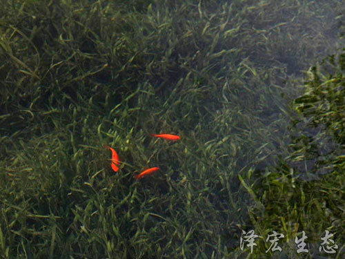深圳某項目